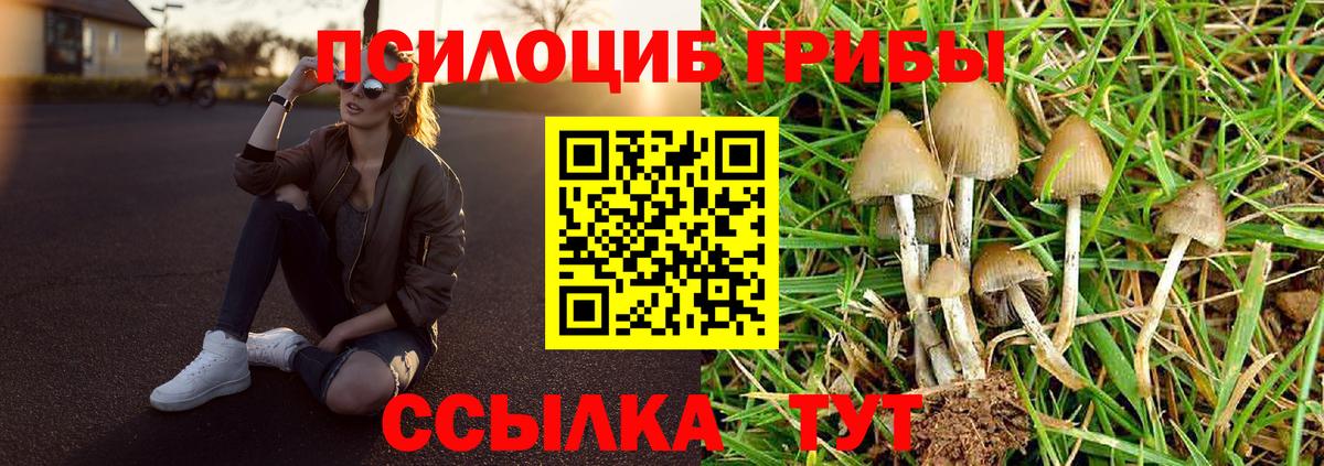 Псилоцибиновые грибы Psilocybine cubensis  Вход с VPN  Верхняя Салда  Галлюциногенные грибы мицелий 