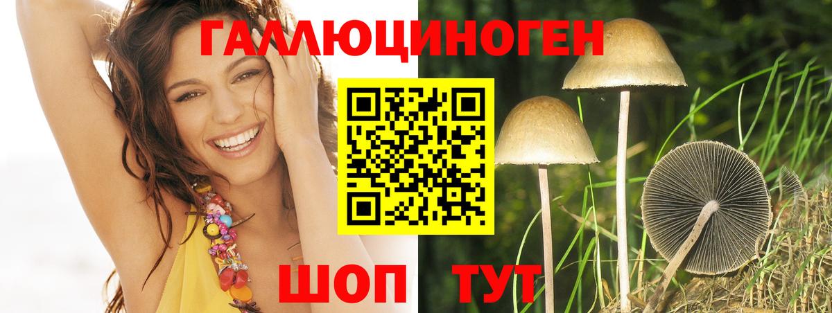 Псилоцибиновые грибы MAGIC MUSHROOMS Верхняя Салда